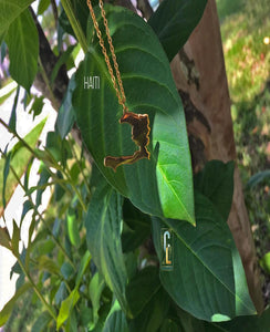 Haiti Link